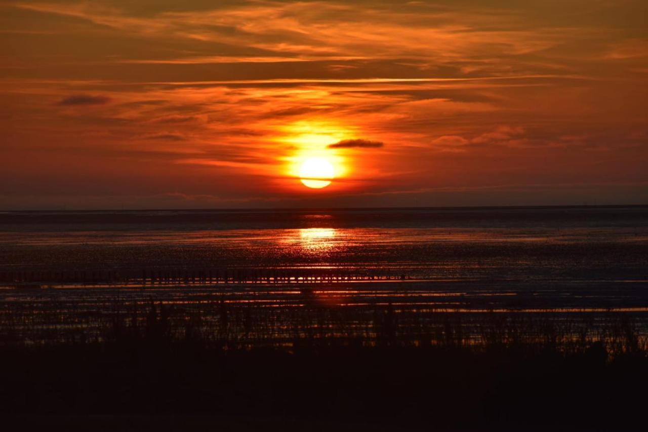 Nordseedeich Friedrichskoog-Spitz Zewnętrze zdjęcie